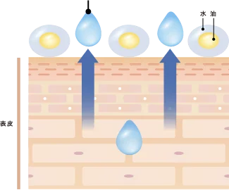 通常のクリーム：潤いが外に出てしまうイメージ